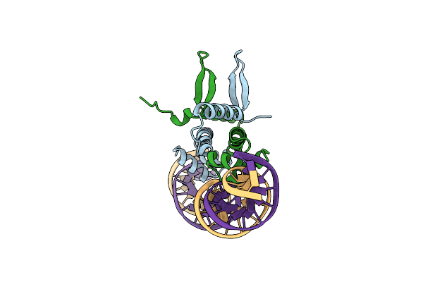 5DTD image