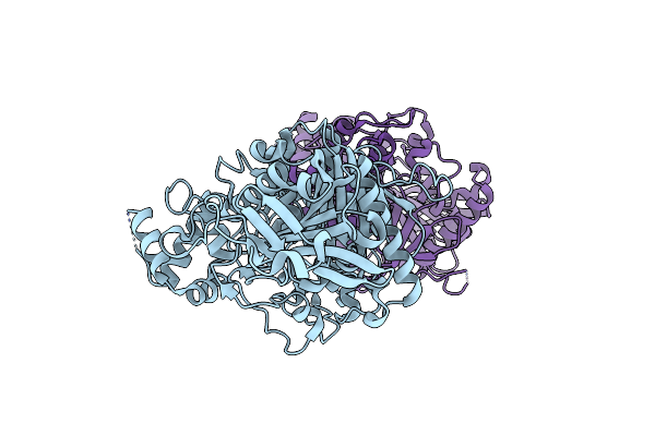 5DTI image