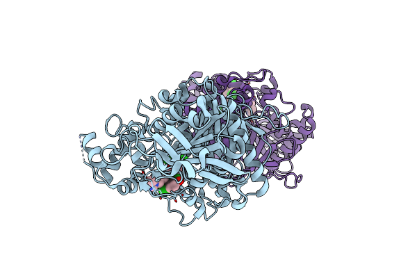 5DTJ image
