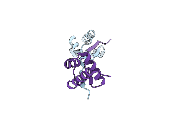 5DUK image