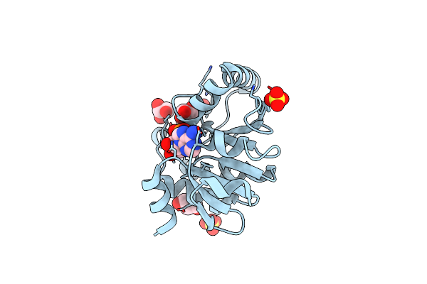 5DUS image