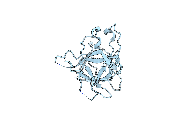 5DVH image