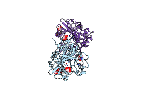 5DVX image