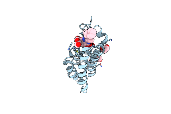 5DW2 image