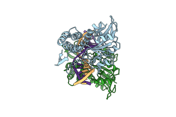 5DWB image