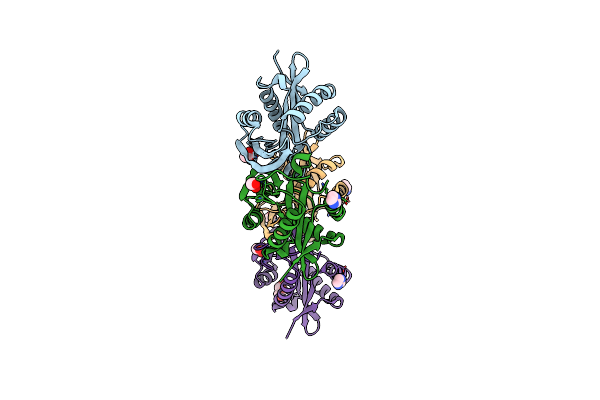 5DWM image