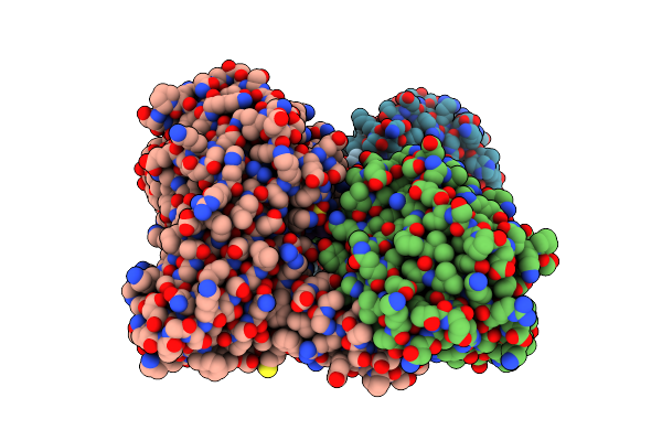 5DX0 image