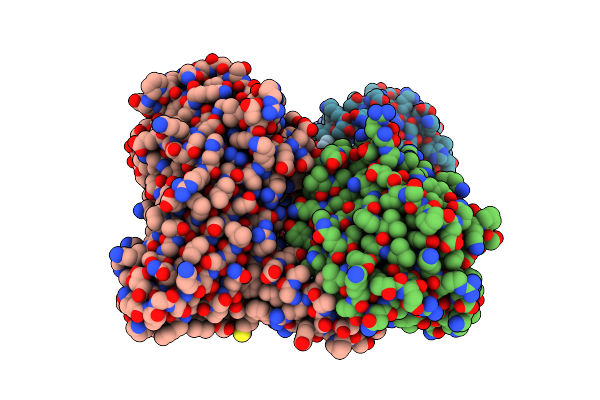 5DX8 image