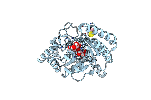 5DX9 image