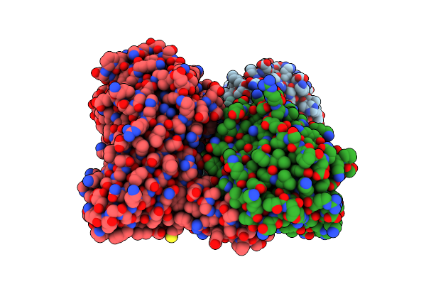 5DXA image