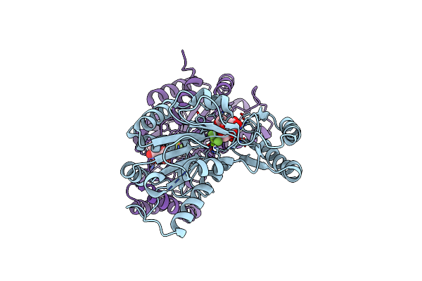 5DXI image