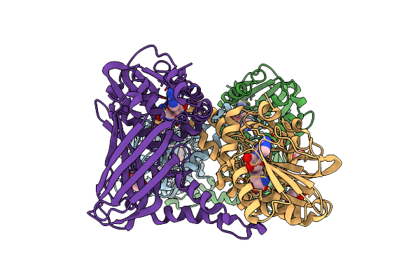 5DXJ image