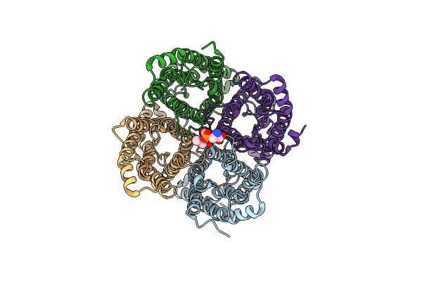 5DYE image