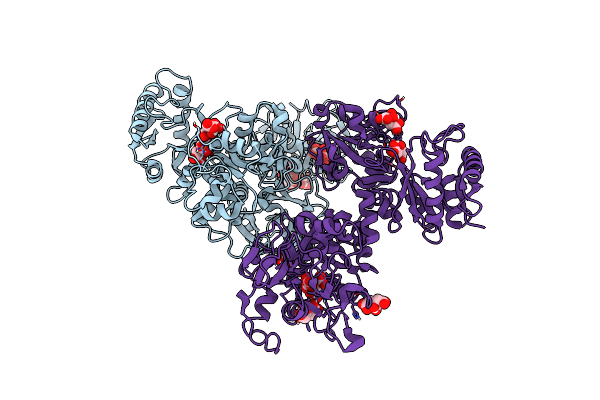 5DYH image