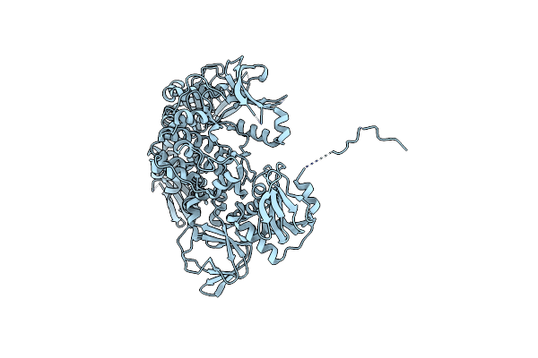 5DYL image