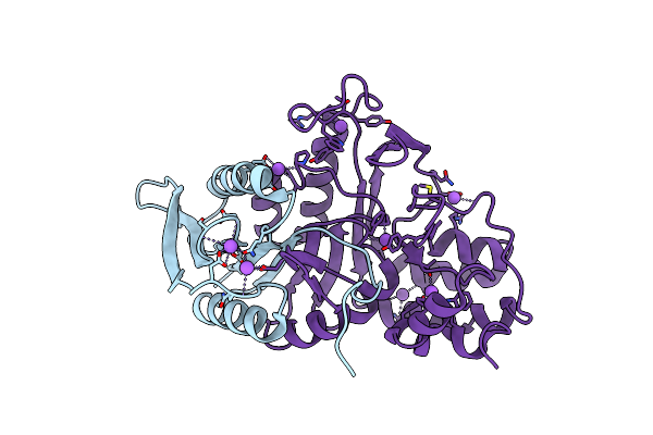 5DYN image