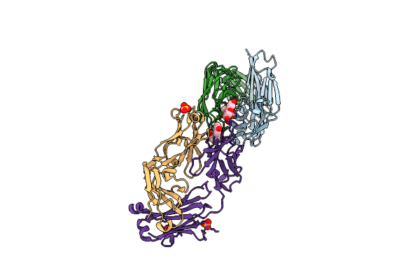 5DYO image
