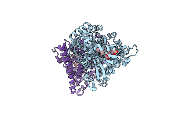 5DYP image