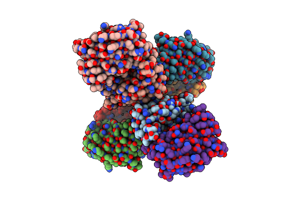5DYV image