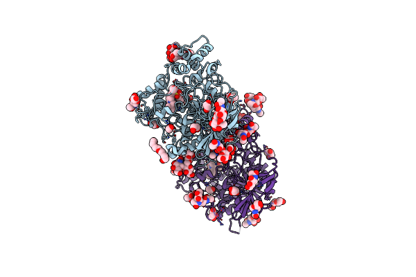 5DYW image