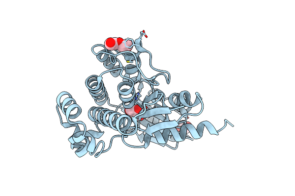 5DZ6 image