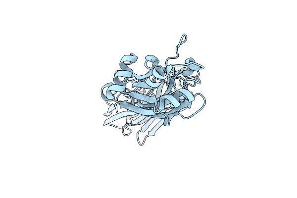 5DZ9 image