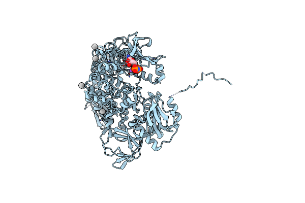 5DZC image
