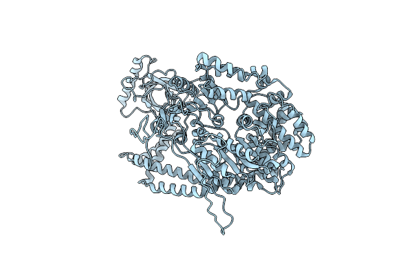 5DZR image