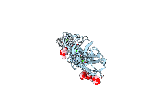 5DZW image