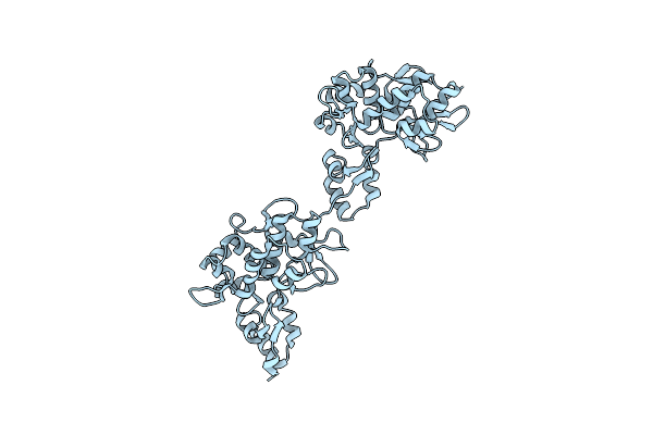 5DZZ image