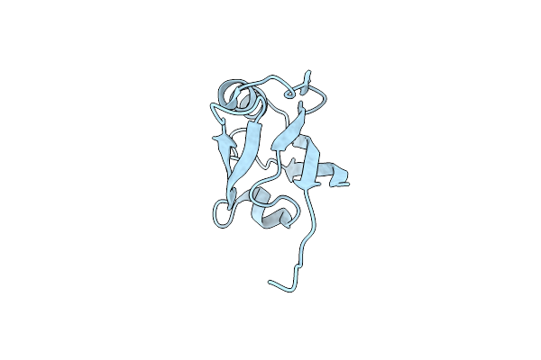5E11 image