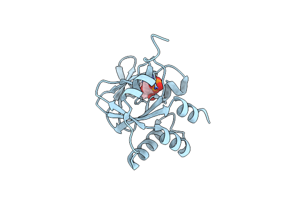 5E16 image