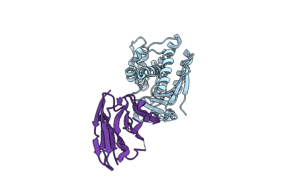 5E1H image
