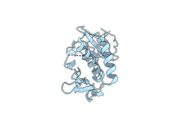 5E1L image