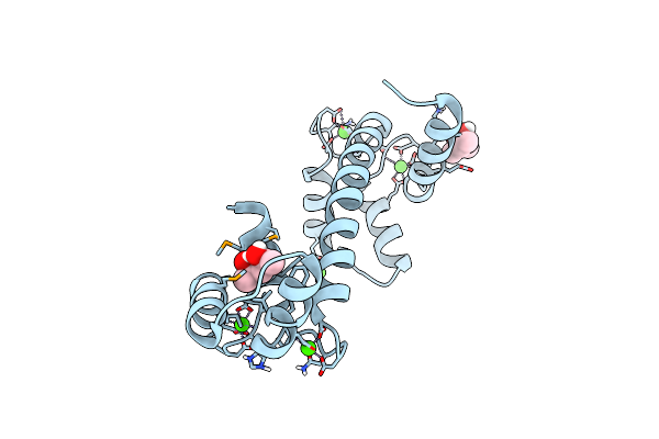 5E1N image