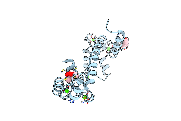 5E1P image