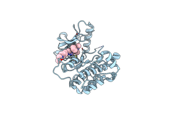 5E1S image