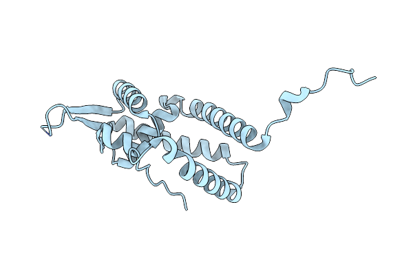 5E1W image