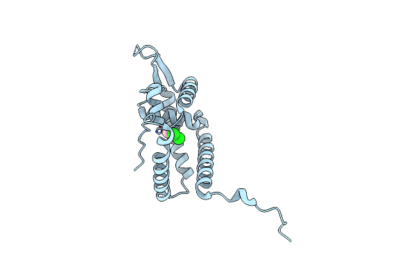5E1X image