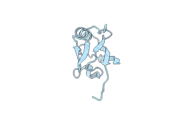 5E1Y image