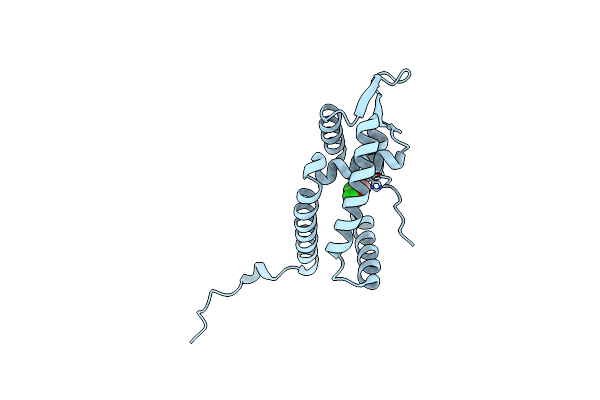5E1Z image