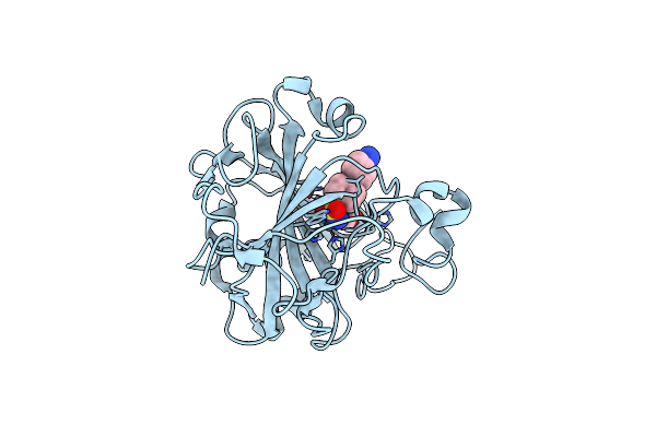 5E28 image