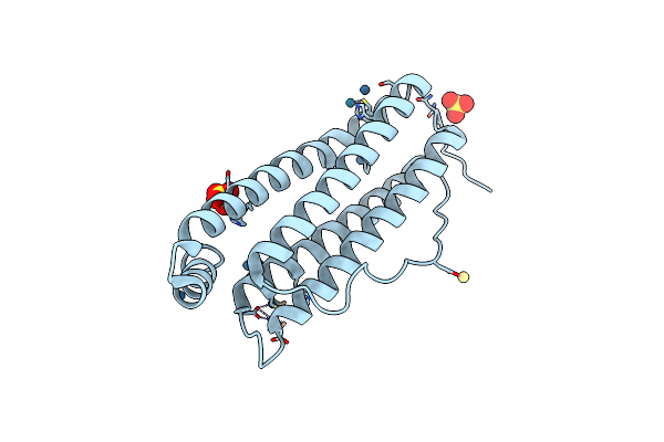 5E2D image