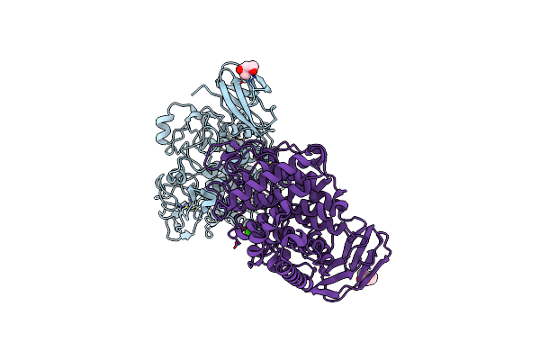5E2J image