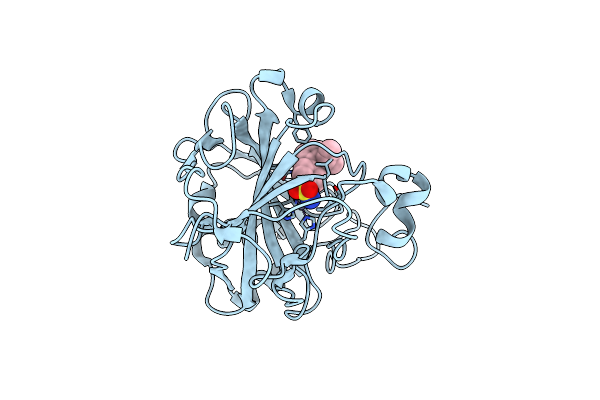 5E2S image