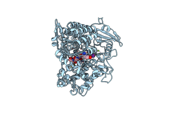 5E33 image