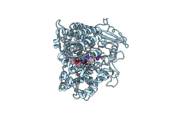 5E3C image