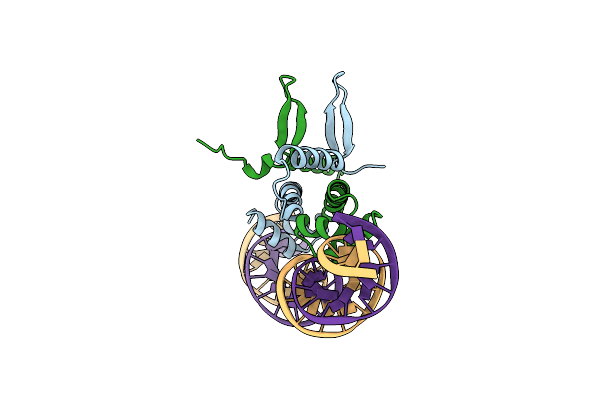 5E3L image