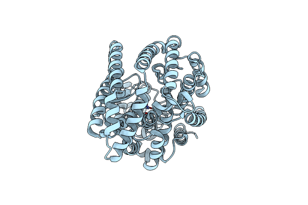 5E3X image