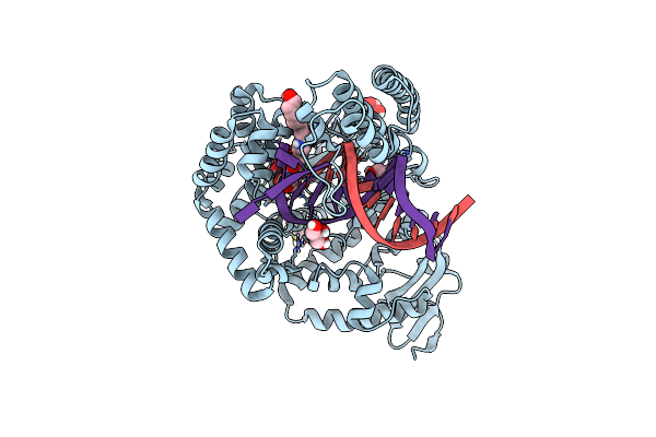 5E41 image